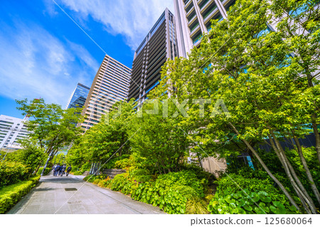 Tokyo cityscape in Japan: May - View of the greenery of Otemachi Hotoria from Uchibori-dori street Tokyo cityscape in Japan: May - View of the greenery of Otemachi Hotoria from Uchibori-dori street 125680064