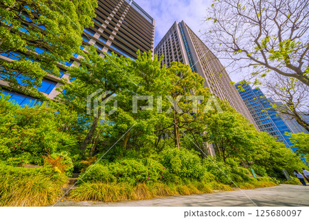 Tokyo cityscape in Japan: May - View of the greenery of Otemachi Hotoria from Uchibori-dori street Tokyo cityscape in Japan: May - View of the greenery of Otemachi Hotoria from Uchibori-dori street 125680097