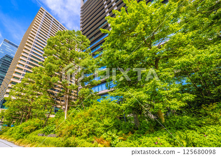 Tokyo cityscape in Japan: May - View of the greenery of Otemachi Hotoria from Uchibori-dori street Tokyo cityscape in Japan: May - View of the greenery of Otemachi Hotoria from Uchibori-dori street 125680098