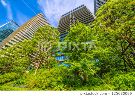 Tokyo cityscape in Japan: May - View of the greenery of Otemachi Hotoria from Uchibori-dori street Tokyo cityscape in Japan: May - View of the greenery of Otemachi Hotoria from Uchibori-dori street 125680099