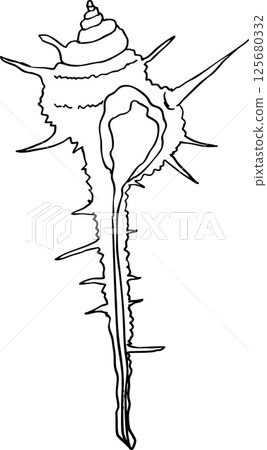 貝殼、海螺 125680332