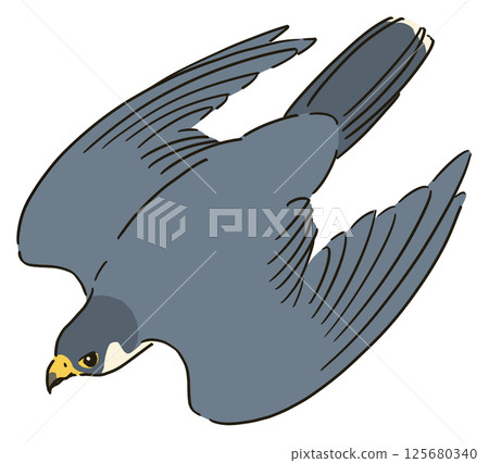俯衝獵鷹的插圖 125680340