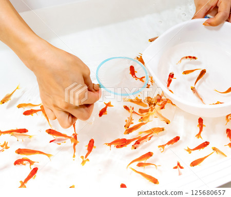 日本傳統文化:撈金魚 日本傳統文化:撈金魚 125680657