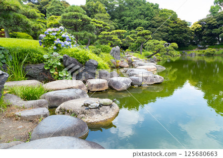 Kiyosumi花園Iwagari橫穿 125680663