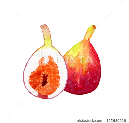 無花果切成兩半 — — 手繪水彩水果插圖 125680916
