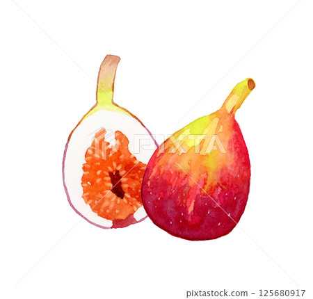 Fig cut in half - hand-drawn watercolor illustration of fruit 125680917