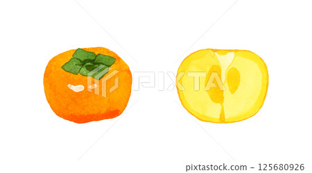 Persimmon cut in half - Hand-drawn watercolor illustration of fruit 125680926