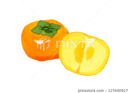 Persimmon cut in half - Hand-drawn watercolor illustration of fruit Persimmon cut in half - Hand-drawn watercolor illustration of fruit 125680927