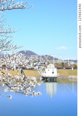 水庫泉 4 水庫泉 4 125681440