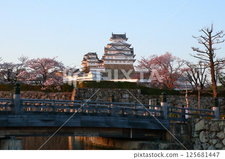 Evening view of Himeji Castle, a world cultural heritage Evening view of Himeji Castle, a world cultural heritage 125681447