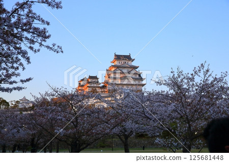 Himeji Castle in the spring sunshine Himeji Castle in the spring sunshine 125681448
