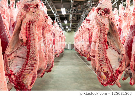 牛肉加工廠 - 胴體儲存設施 125681503