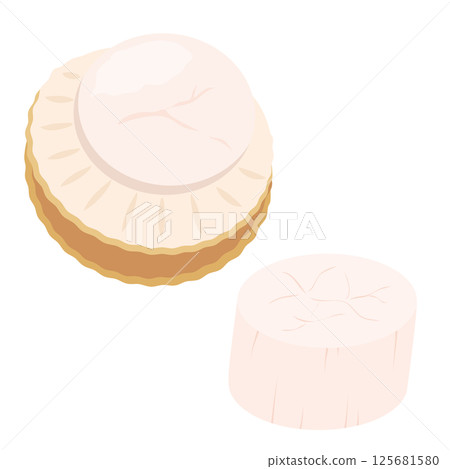 Illustration of shucked scallops and their adductor muscles Illustration of shucked scallops and their adductor muscles 125681580