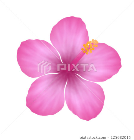 Hibiscus ② 125682015