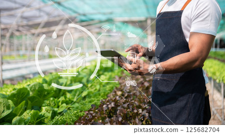 Man hands gardening lettuce in farm with growth process and chemical formula on green background. With VR icon Man hands gardening lettuce in farm with growth process and chemical formula on green background. With VR icon 125682704
