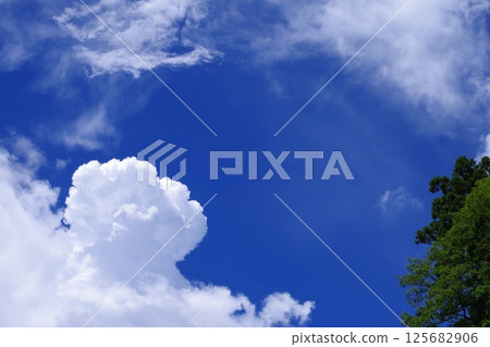 夏日的天空 125682906
