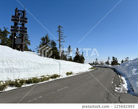 Shibu Pass just after the road opens in summer _ Snow wall _ Golden Week 125682993