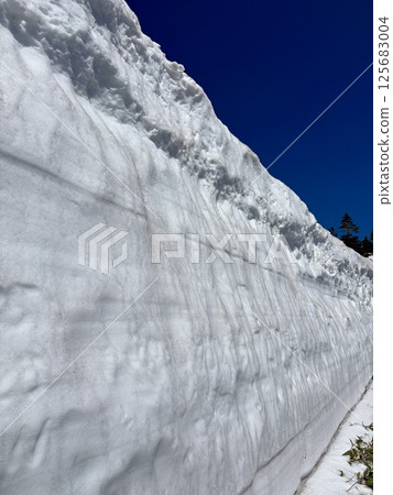 Shibu Pass just after the road opens in summer _ Snow wall _ Golden Week Shibu Pass just after the road opens in summer _ Snow wall _ Golden Week 125683004