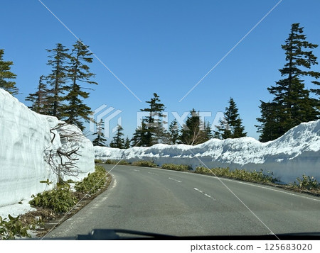 Shibu Pass just after the road opens in summer _ Snow wall _ Golden Week 125683020
