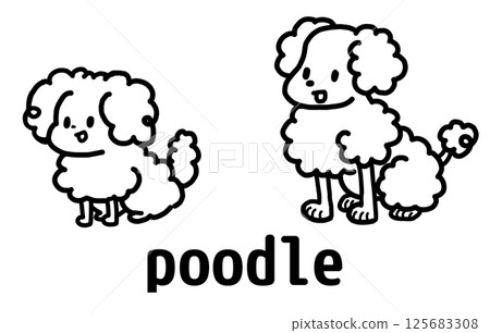 Poodle 125683308