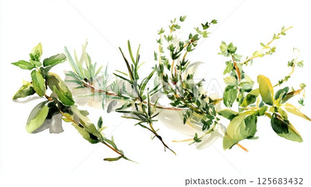 Watercolor herbs composition with rosemary and thyme on white background 125683432