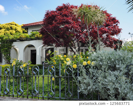 山手111大廈（橫濱市） 125683771