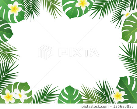 熱帶植物框架_向量插圖 125683853