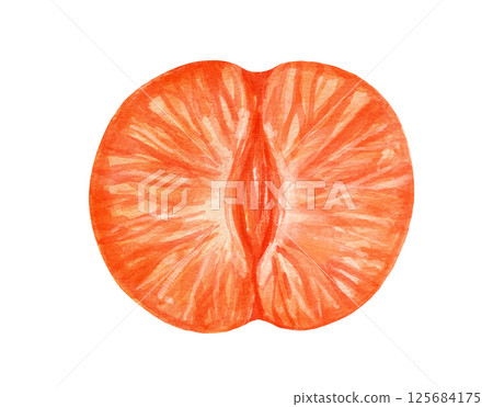 Watercolor half of mandarin, isolated food illustration 125684175