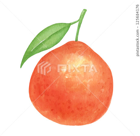 Watercolor tangerine with leaf, isolated food illustration, hand drawn art 125684176