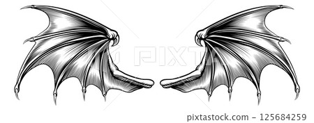 Bat Dragon Devil Vampire Demon Wings Drawing Bat Dragon Devil Vampire Demon Wings Drawing 125684259