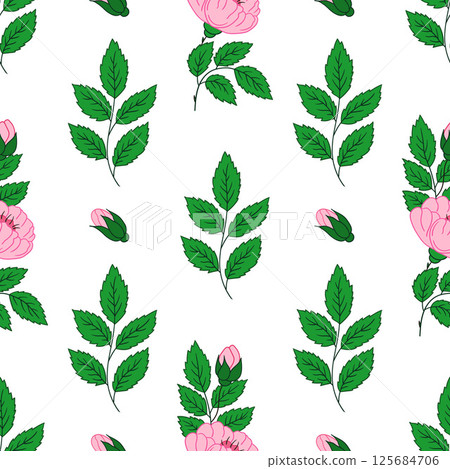 Pattern for textile or kitchen in hand draw style. Seamless pattern Pattern for textile or kitchen in hand draw style. Seamless pattern 125684706