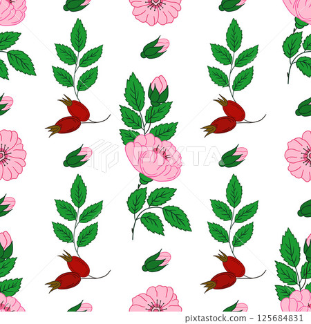 Pattern for textile or kitchen in hand draw style. Seamless pattern 125684831