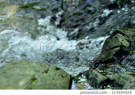 流水流量 流水流量 125684926
