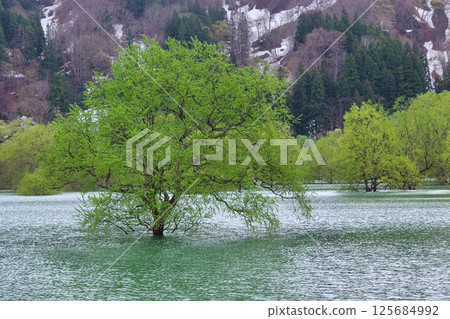 Shirakawa Dam, Yamagata Prefecture Shirakawa Dam, Yamagata Prefecture 125684992