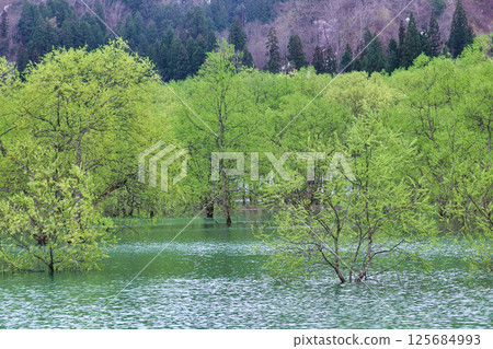 Shirakawa Dam, Yamagata Prefecture 125684993