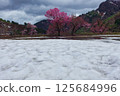 山形縣小國町 125684996