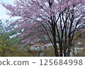 山形縣小國町 125684998