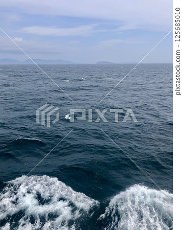 海洋和島嶼 海洋和島嶼 125685010