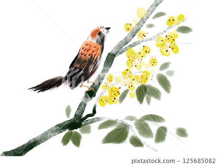 watercolor bird sitting on branch watercolor bird sitting on branch 125685082