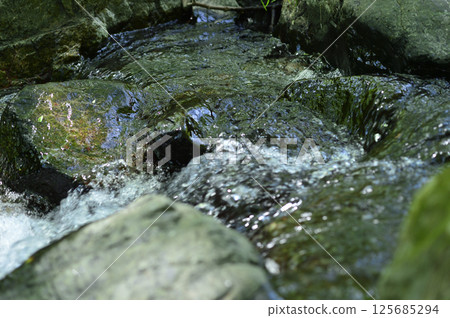 Stream water flow Stream water flow 125685294
