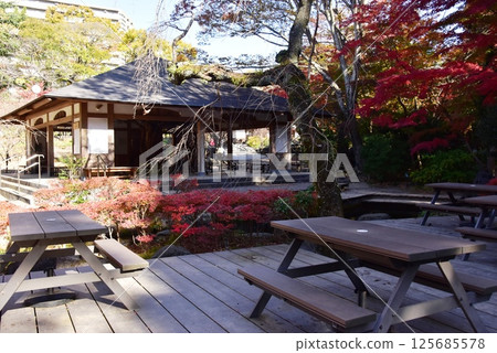 Shizuoka Prefecture, Mishima City Park Rakujuen Rest Area Autumn Leaves and Autumn Leaves Shizuoka Prefecture, Mishima City Park Rakujuen Rest Area Autumn Leaves and Autumn Leaves 125685578