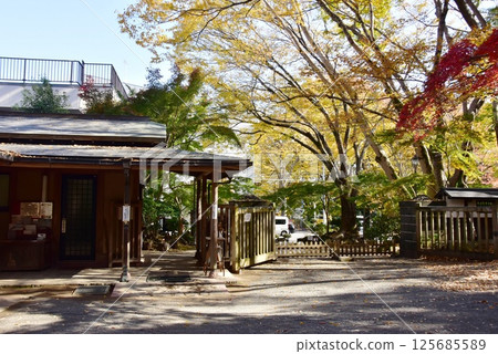Shizuoka Prefecture, Mishima City Park Rakujuen main gate and autumn leaves 125685589