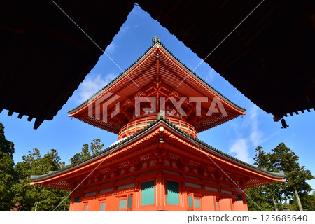 高野山平台高層大教堂內本大東 125685640