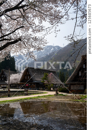 春天的到來：世界遺產五箇山 125685673