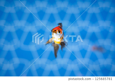 Goldfish   125685781