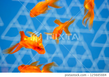 Goldfish Goldfish 125685884