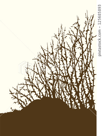 Vector drawing. The thorn bushes 125685893