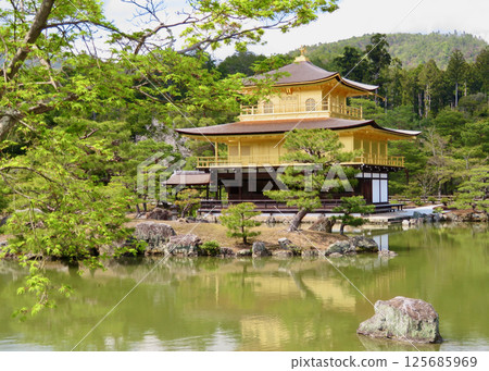 早春的金閣寺 125685969