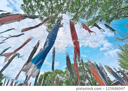 Carp streamers to celebrate children's growth 125686047