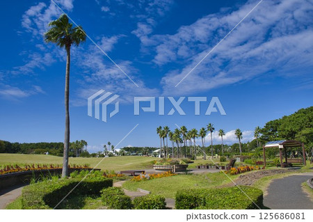 [藤澤市] ji堂海欣公園 125686081